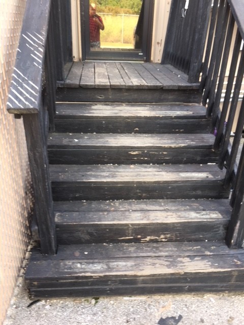 Staircase Wood Repairs