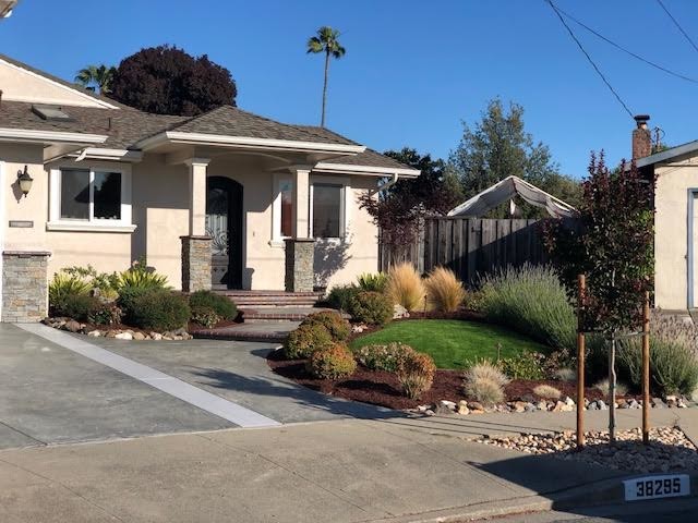 Front Yard Landscaping- Outdoor Lighting