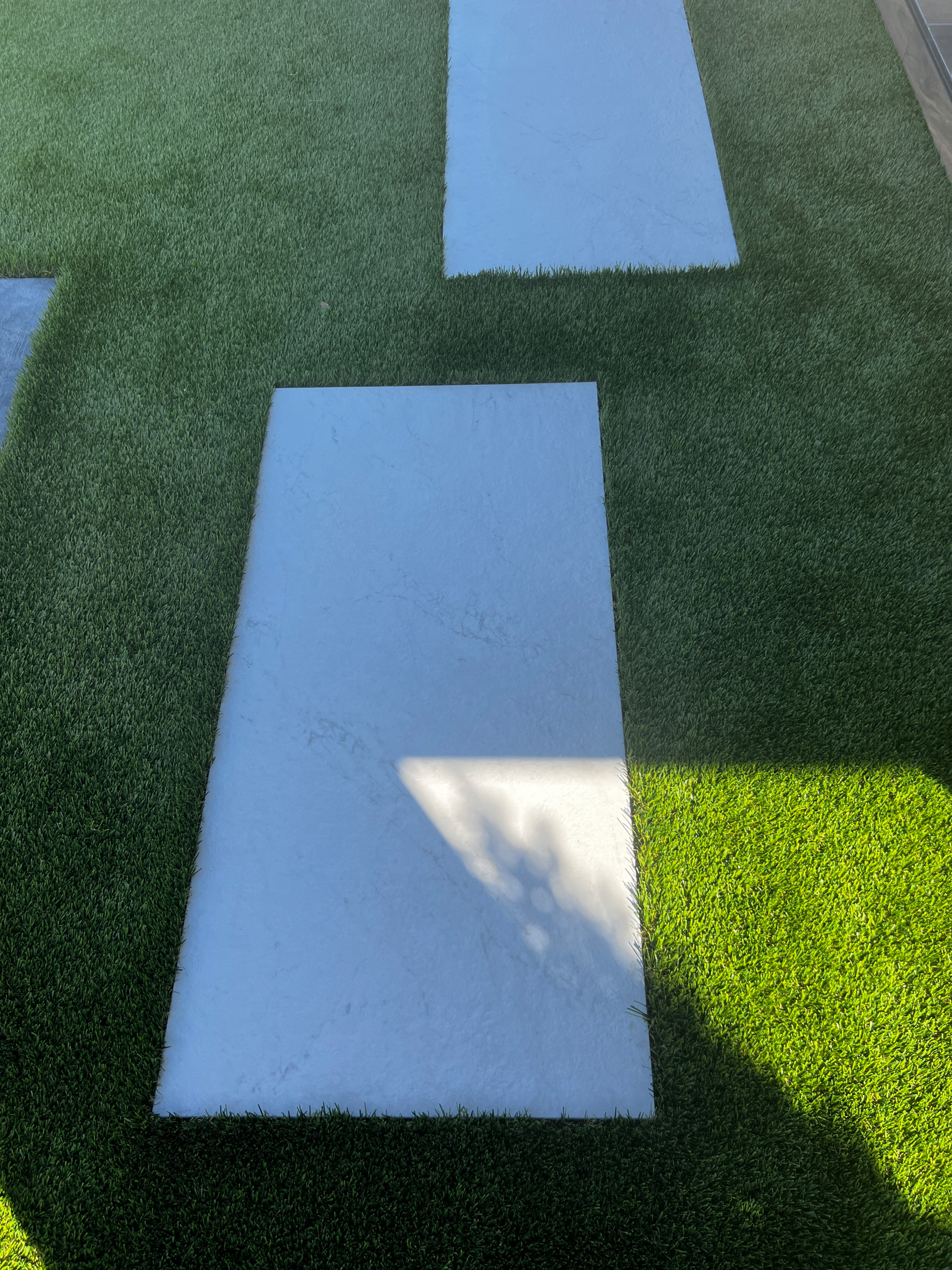 Bickford Ranch New Backyard