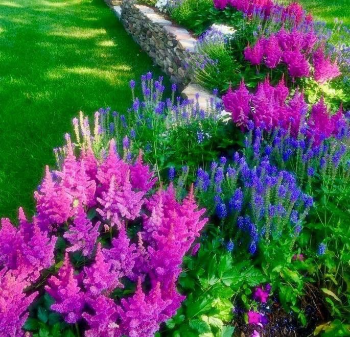 Photo of a transitional landscaping in Chicago.