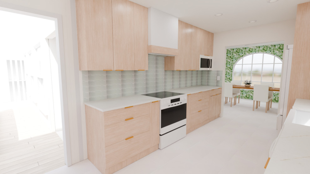 Dallas Kitchen Project