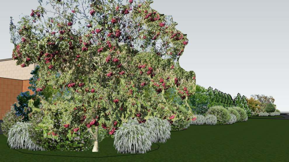 Проект Острова (ЦБ РФ)