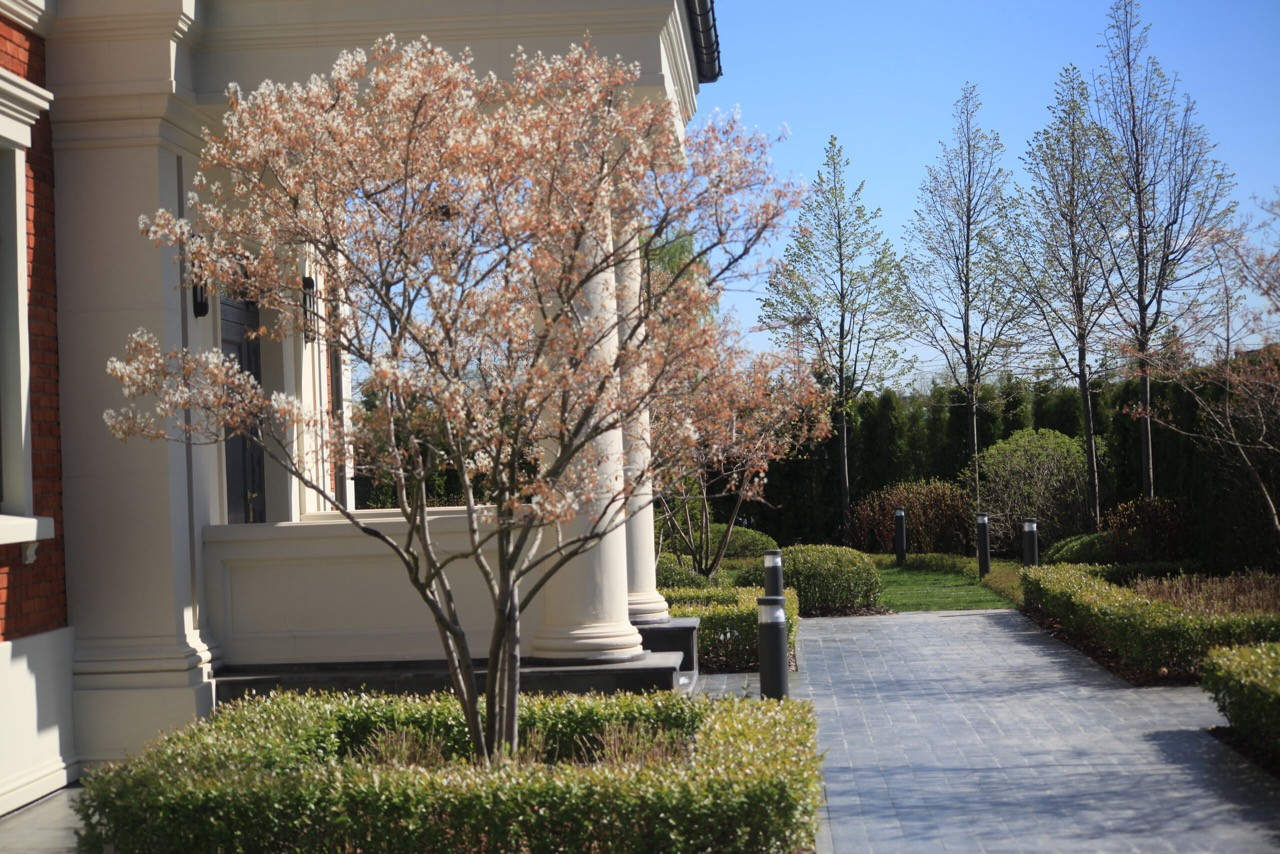 Тихая роскошь