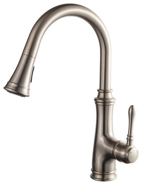 Blossom Single Handle Pull Down Kitchen Faucet Brush Nickel