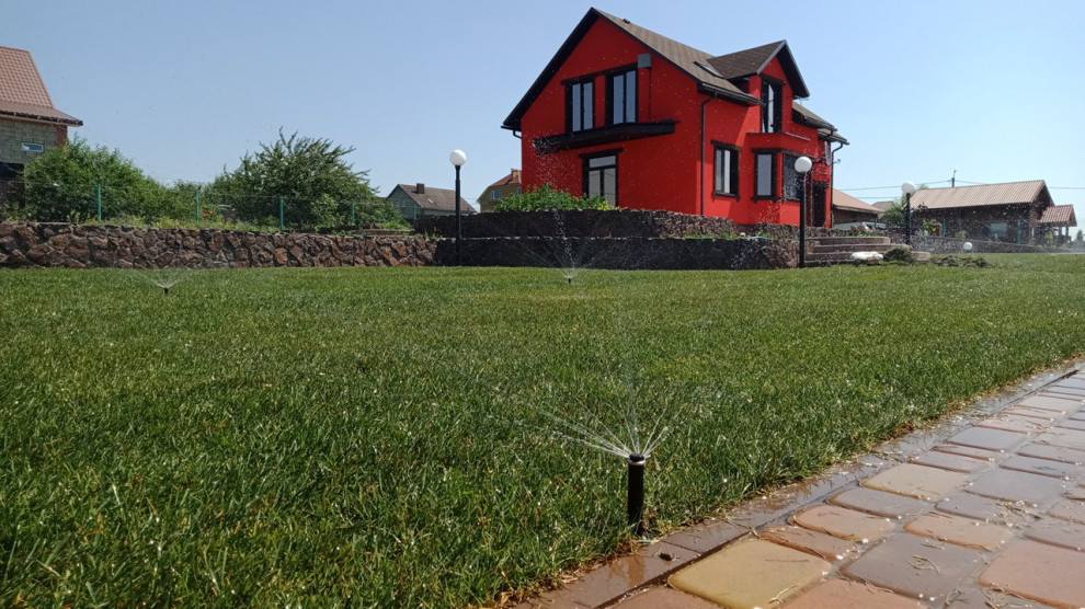 Озеленение