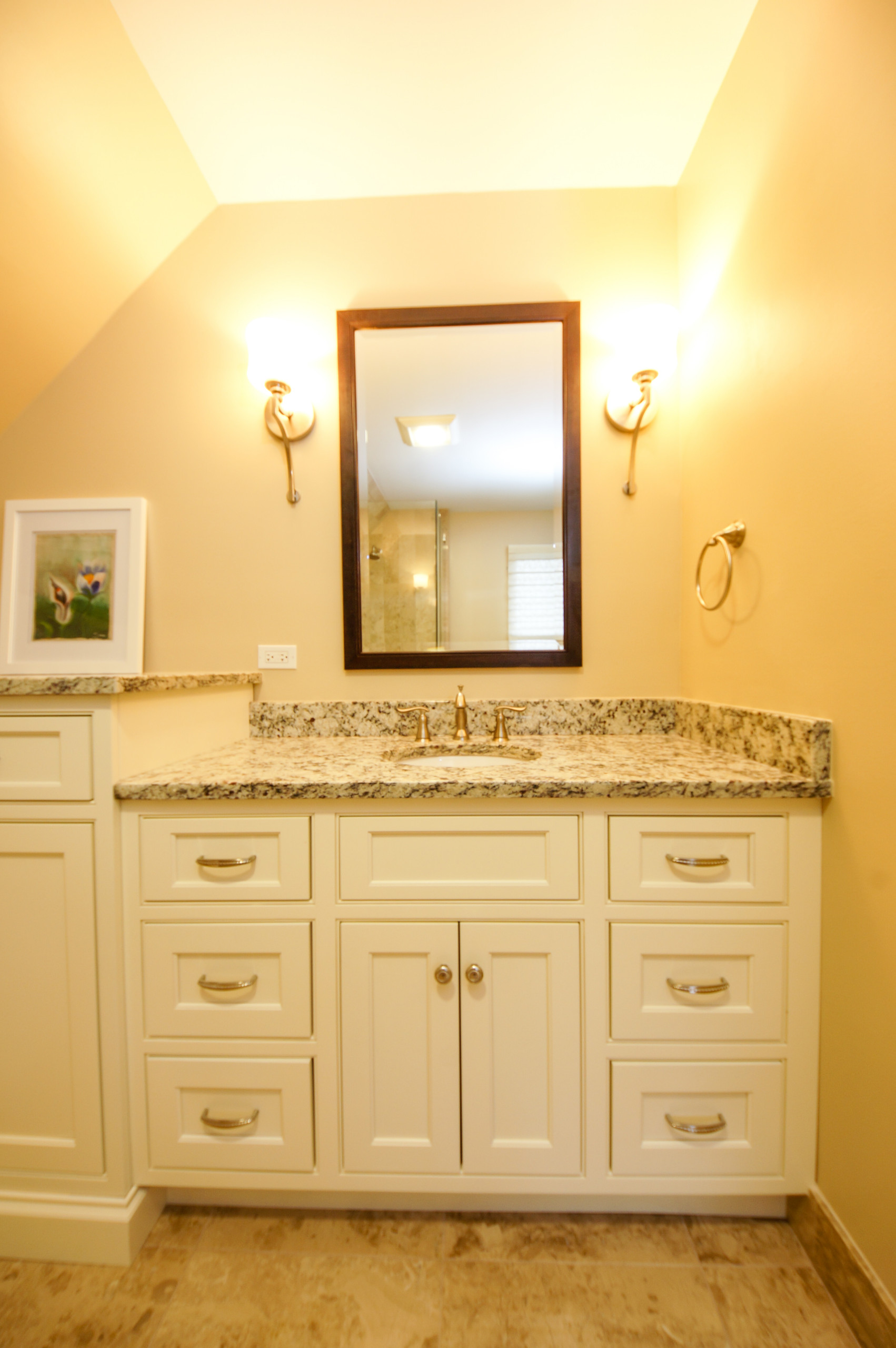 Traditional Burr Ridge Guest Bathroom