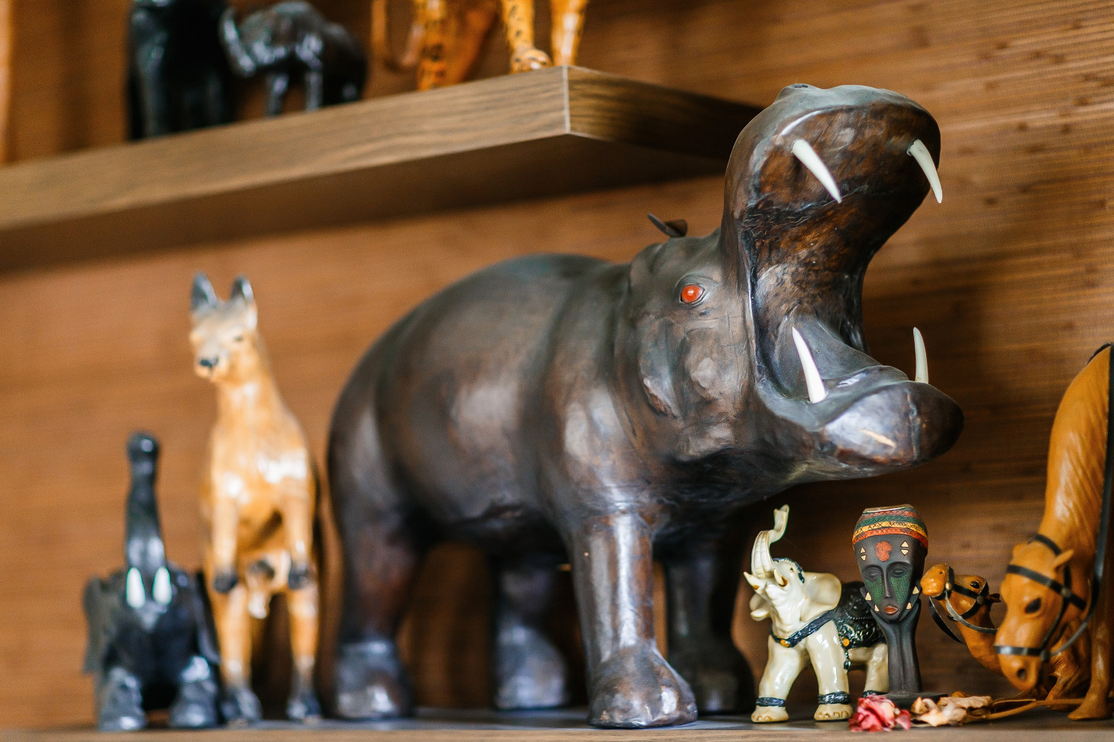 Дом в Краснодаре