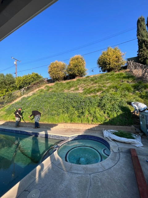 Backyard Renovation