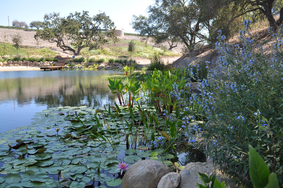 Mid-sized traditional backyard full sun garden in Santa Barbara with with pond.