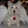 lynne_rizzi