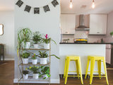 Chi sono i Plantfluencer e Perché il Giardinaggio Adesso è Indoor (12 photos) - image  on http://www.designedoo.it