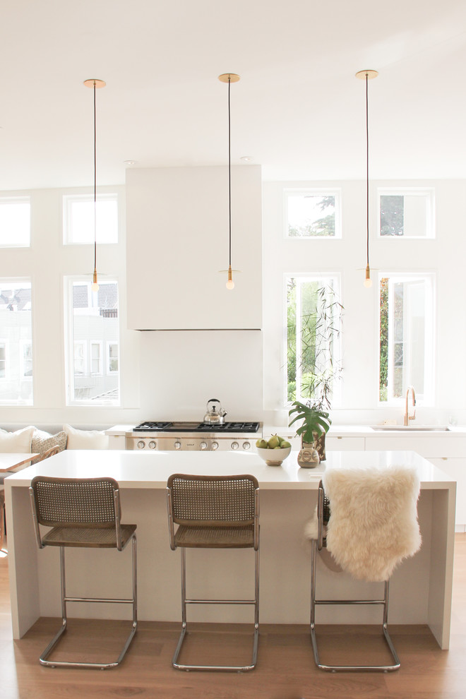 Photo of a scandinavian kitchen in San Francisco with with island.