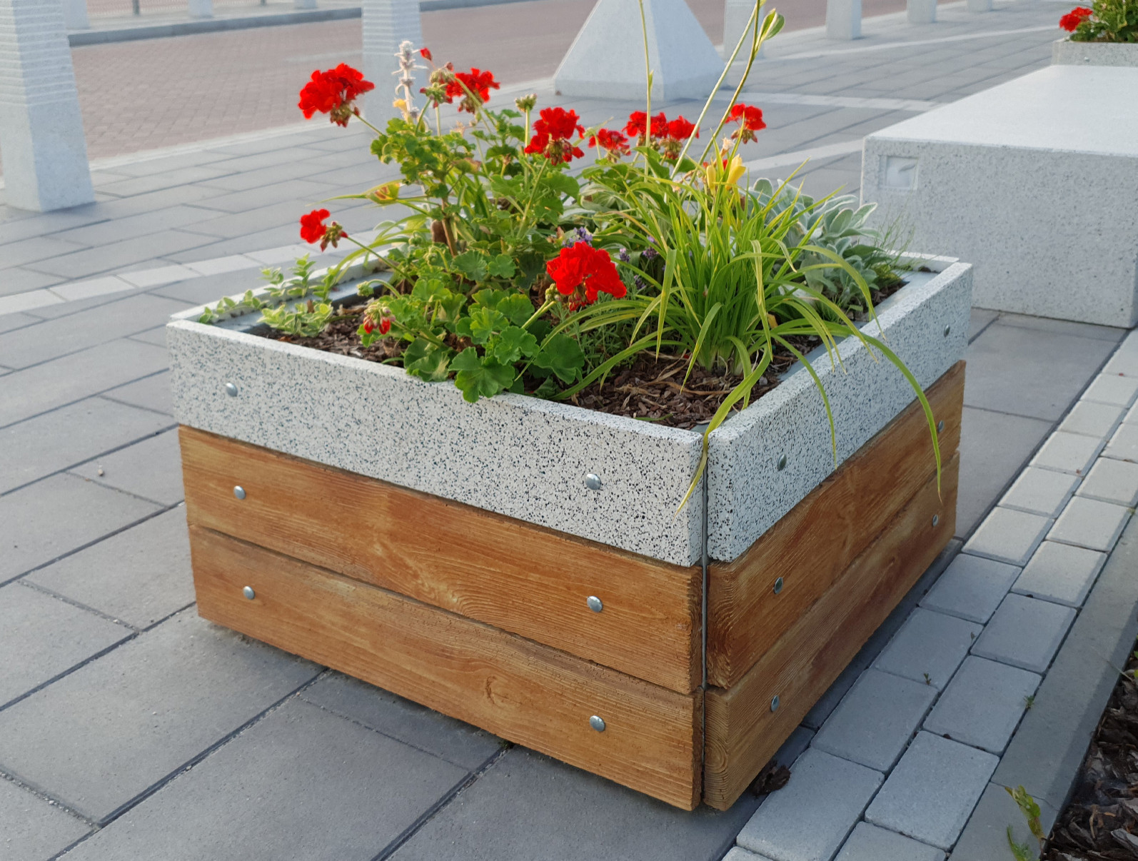 Продукция компании "Золотой мандарин"