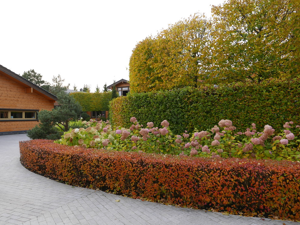 Современный взгляд на классику