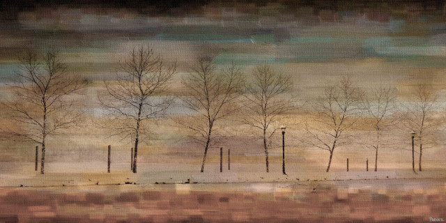 "The Woods" Fine Art Canvas Print, 45"x22.5"