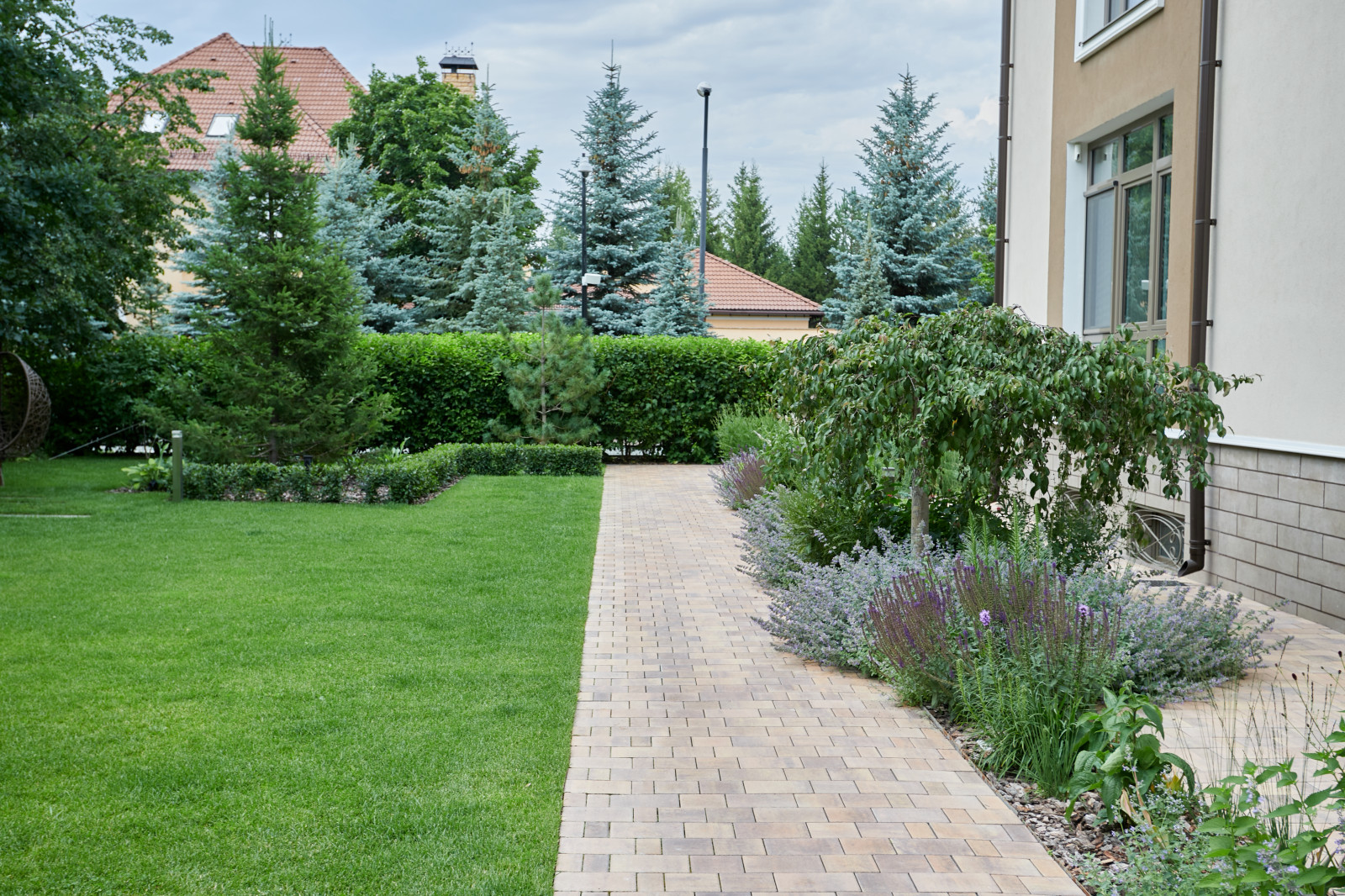 Чистые линии