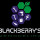 Blackberry´s remodeling company