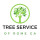 Tree Service Rome