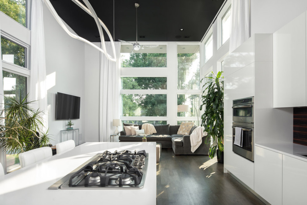 Kitchen - modern kitchen idea in Charlotte