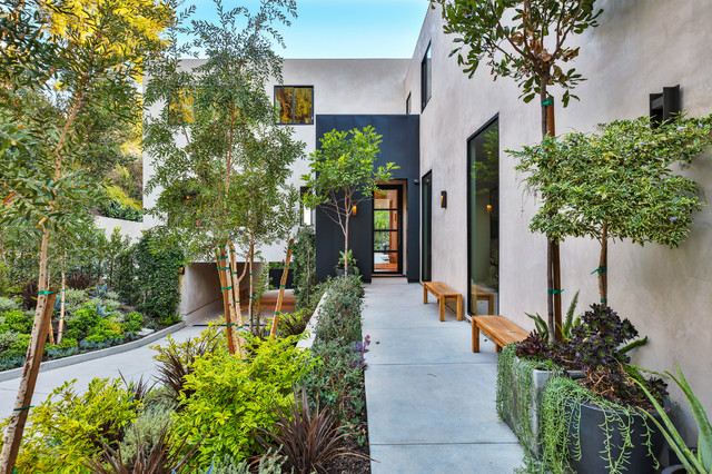 Delresto contemporary-entre