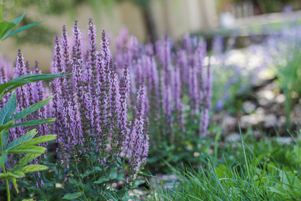 пос.Малая Царевщина