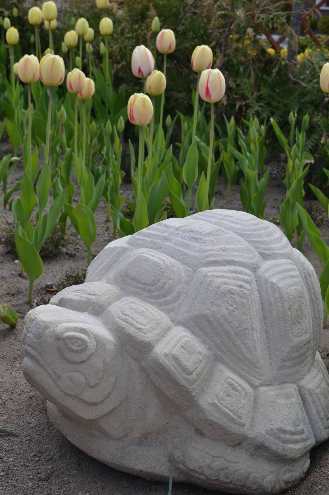 Декор в малых садах