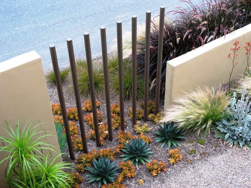 Inspiration for a contemporary garden in San Diego.