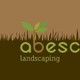 Abescape landscaping & Irrigation