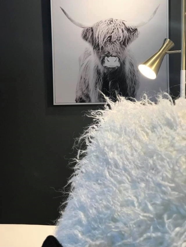 PROJET #102 HOME STAGING