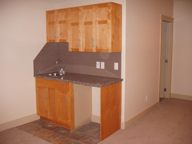 Basement Development transitional-basement