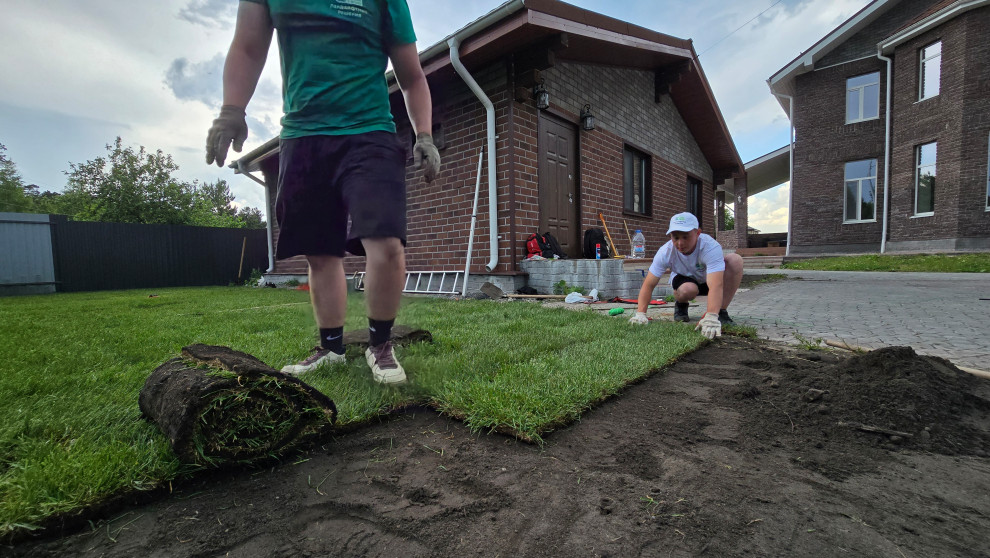 Укладка рулонного газона