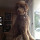 Last commented by Marleen Kates