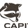 Capital Wildlife Control