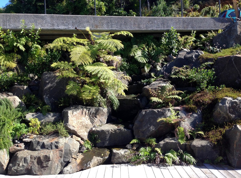 Photo of a garden in Auckland.