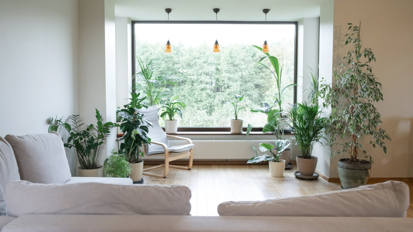 Bright Contemporary Garden Space with Natural Elements in Guildford