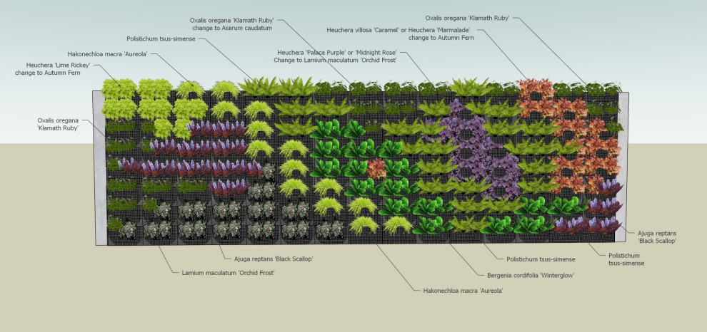 Vertical Garden Wall