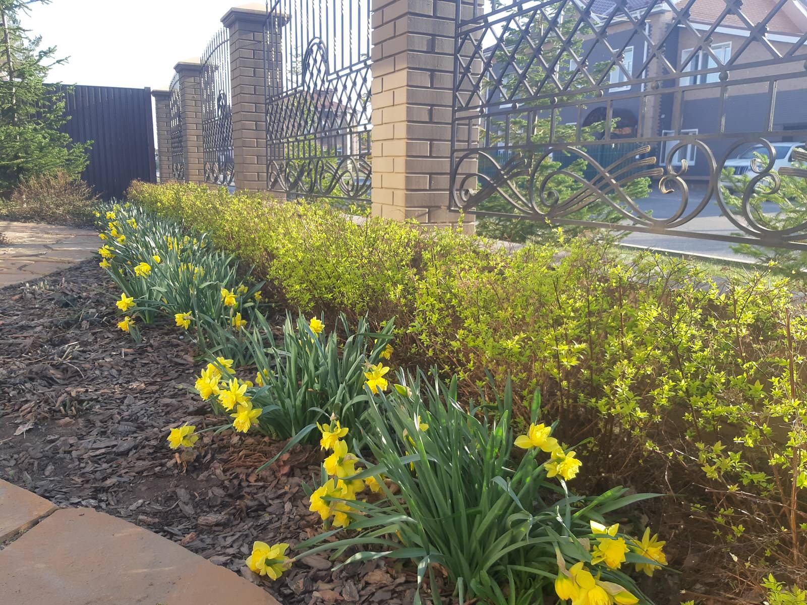 Серебрянный бор