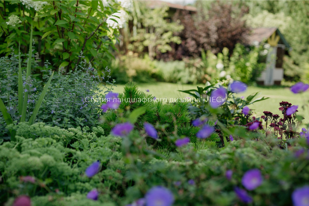 КП "БРУСЛАНДИЯ"