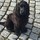 tina_dobler