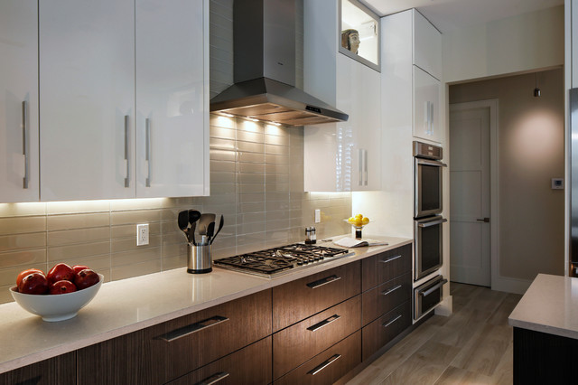 Old Marsh Custom Home contemporary-kitchen