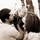 laura_walker7154