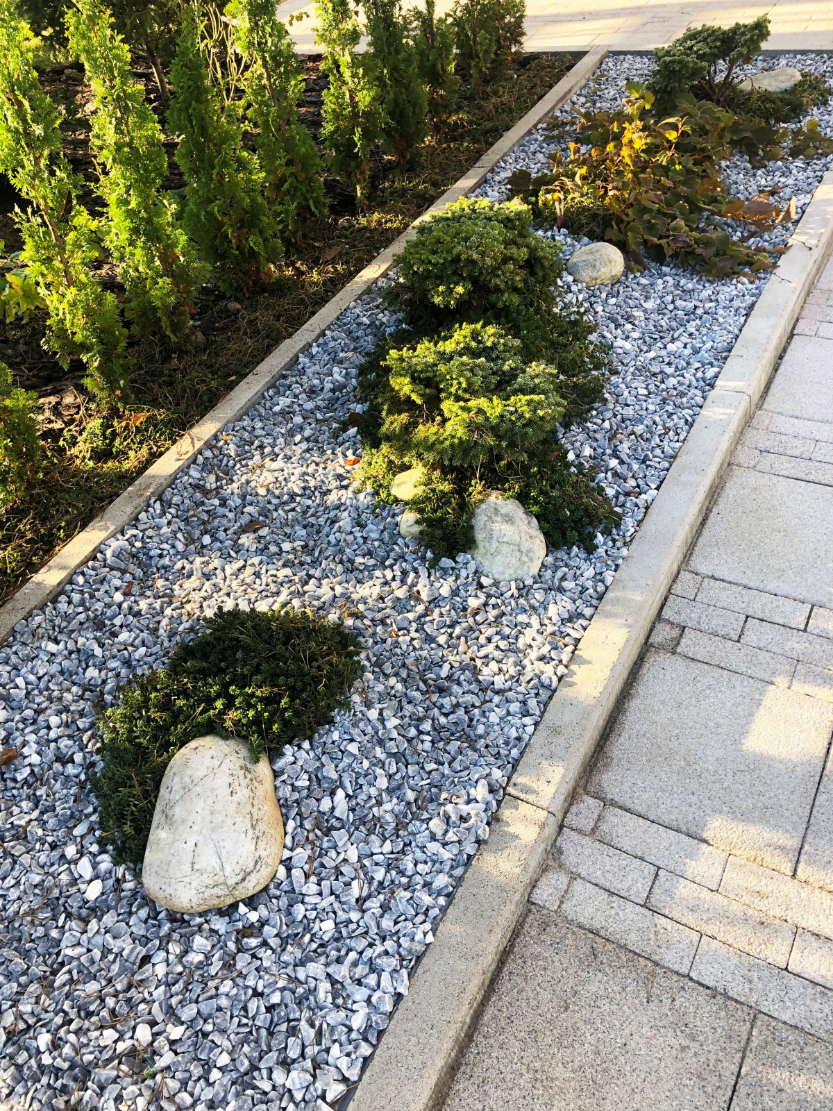 Восточный ветер