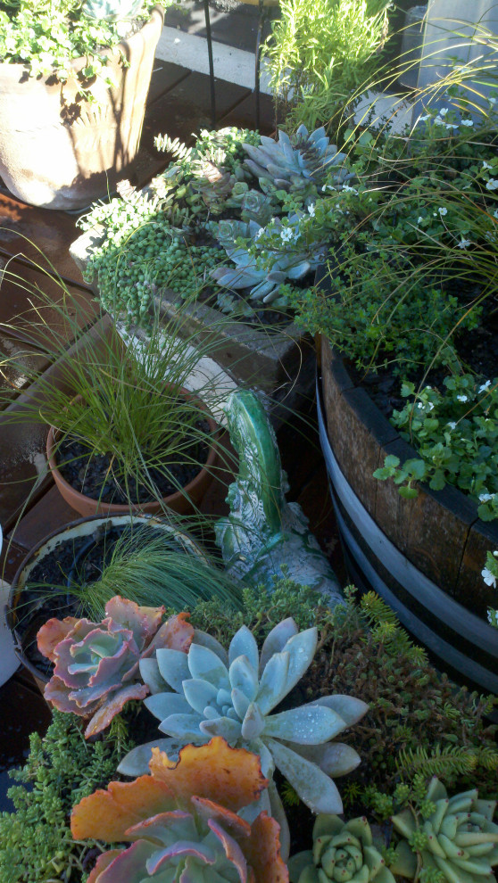 Stilmix Dachgarten mit Kübelpflanzen, direkter Sonneneinstrahlung und Dielen in Los Angeles
