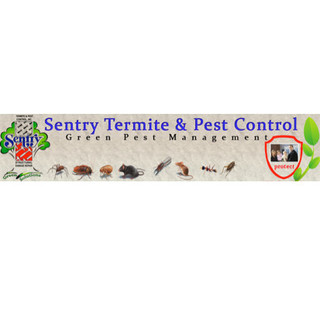 Sentry Termite Pest Control Inc West Milford Nj Us 7480 Houzz