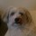 heike_vosshenrich