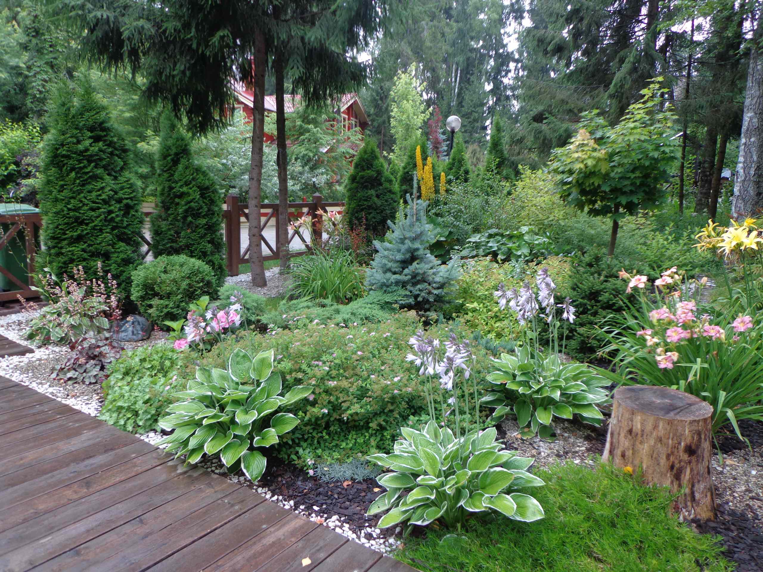 Клумба - виды и способы создания садовых клумб | manikyrsha.ru