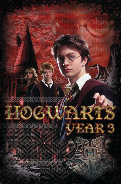 Opstand straal monster Harry Potter 3 Year 3 Poster - Contemporary - Prints And Posters - by  Trends International | Houzz