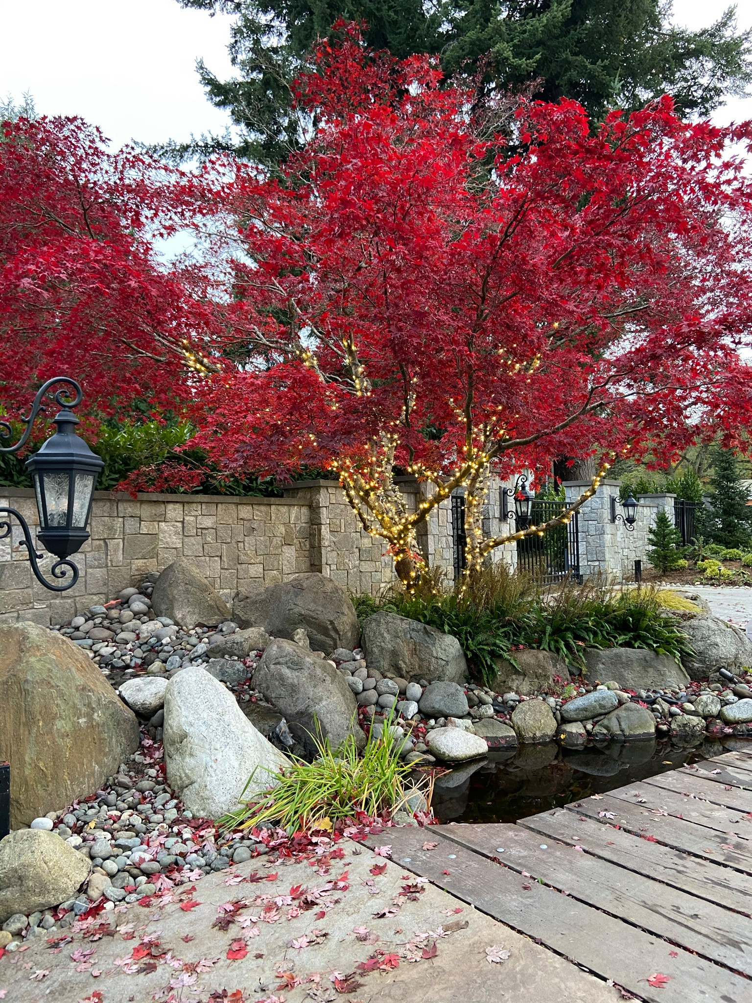 Enjoy your backyard even in the winter | by ProScapes