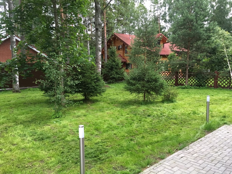 Проект Кд-251