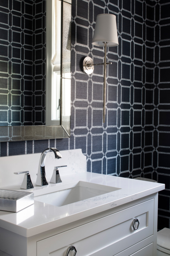 Home design - transitional home design idea in Minneapolis